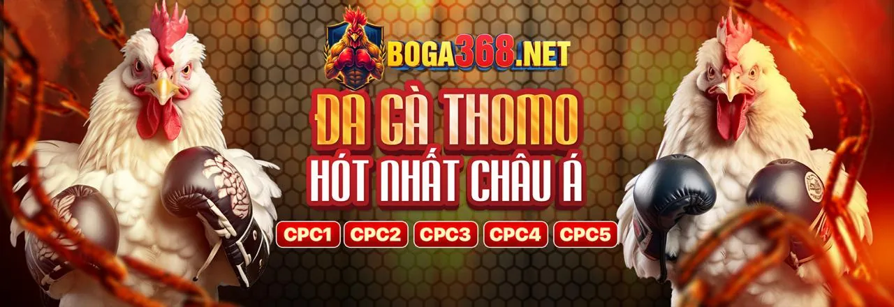 Chính sách quyền riêng tư của bj27 đá gà