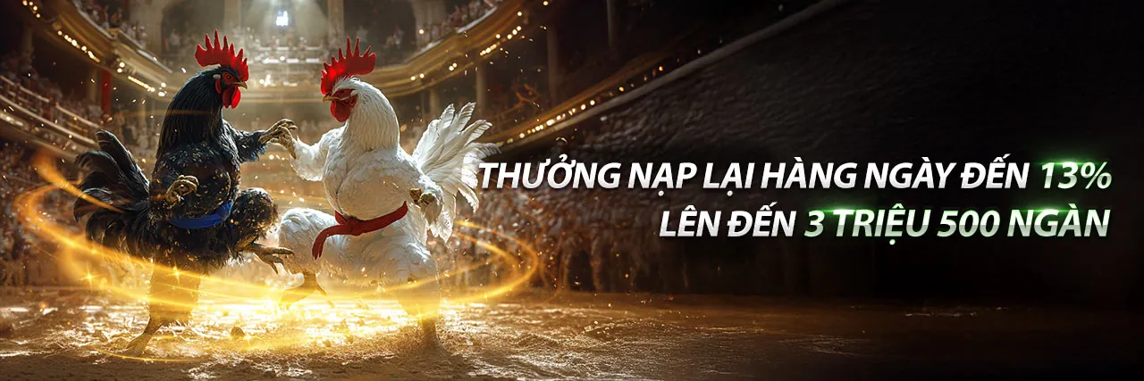 Tin tức bj27 đá gà 2026